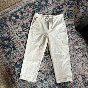 Everlane Straight Leg Cropped in Size 16, Bone